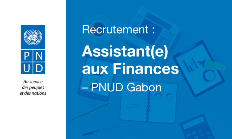 assistant(e)-PNUD-GABON