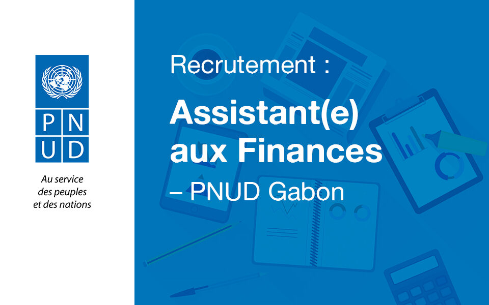 assistant(e)-PNUD-GABON